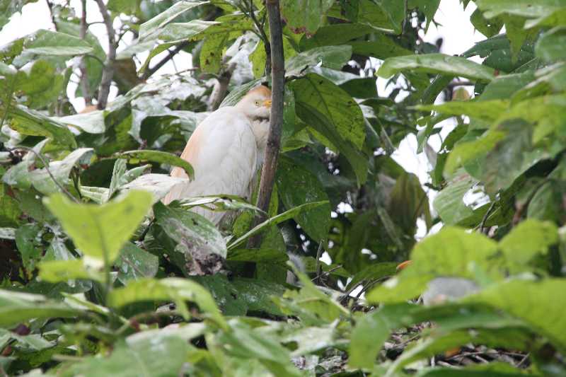 Mexico & Guatemala 2010 - 0931